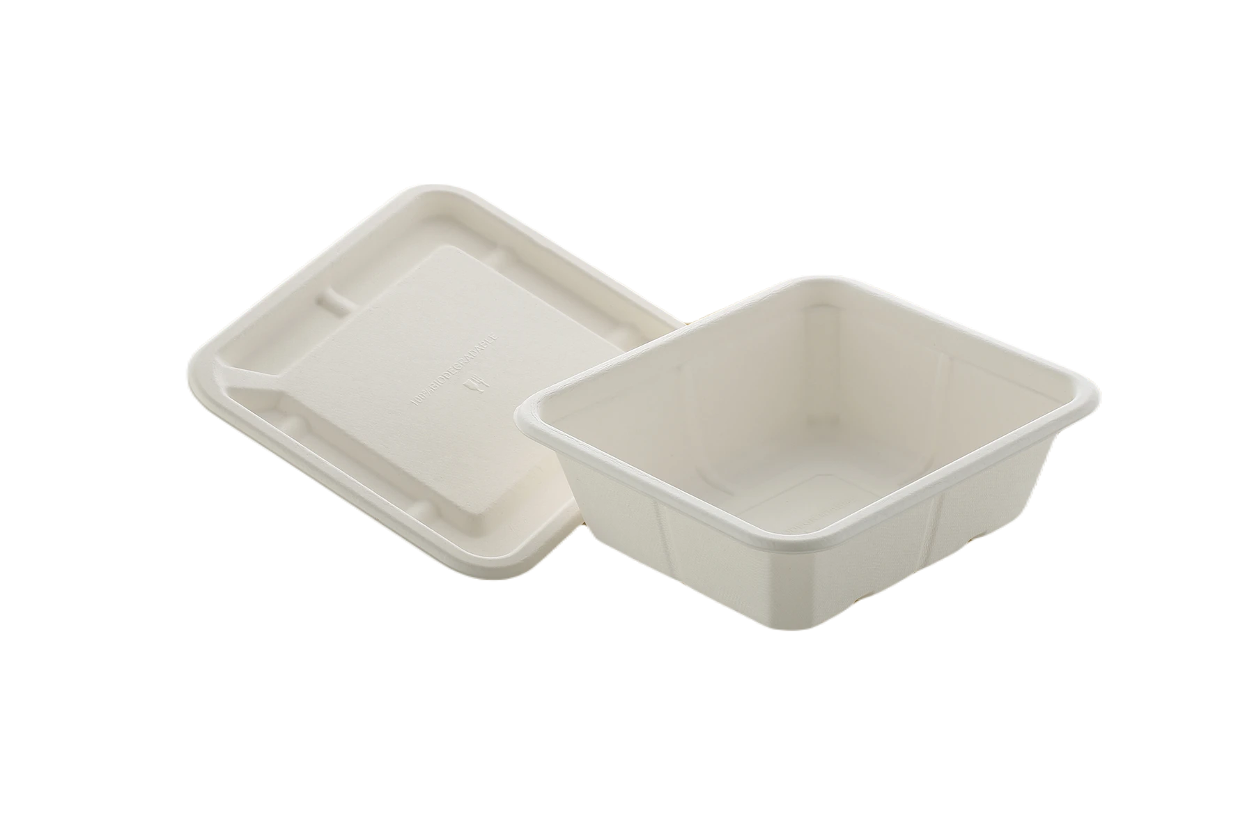 Biodegradable Disposable Container