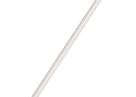 Biodegradable Disposable Straw